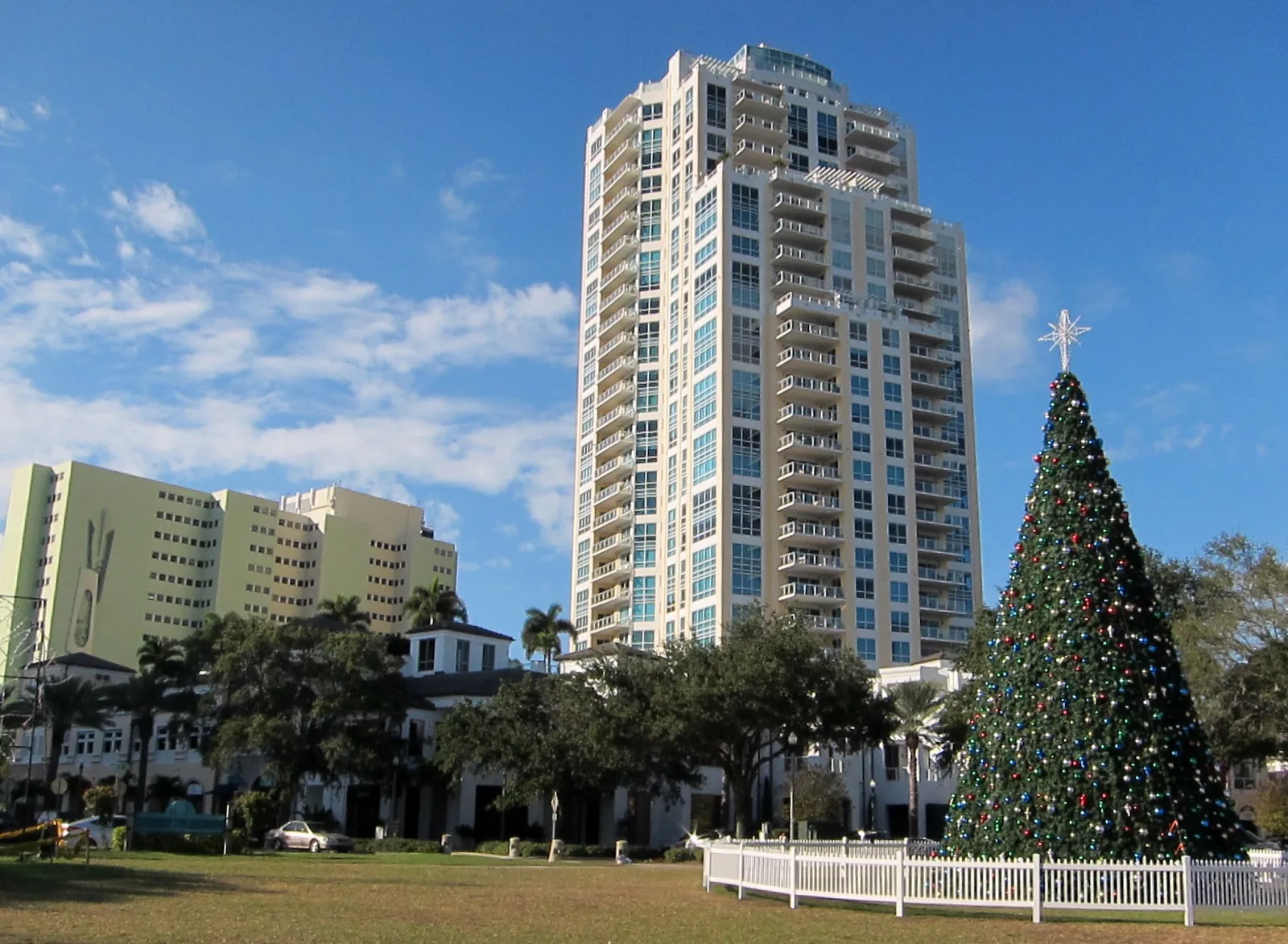 The city Christmas tree in North Straub Park on Beach Drive NE in downtown St. Petersburg.