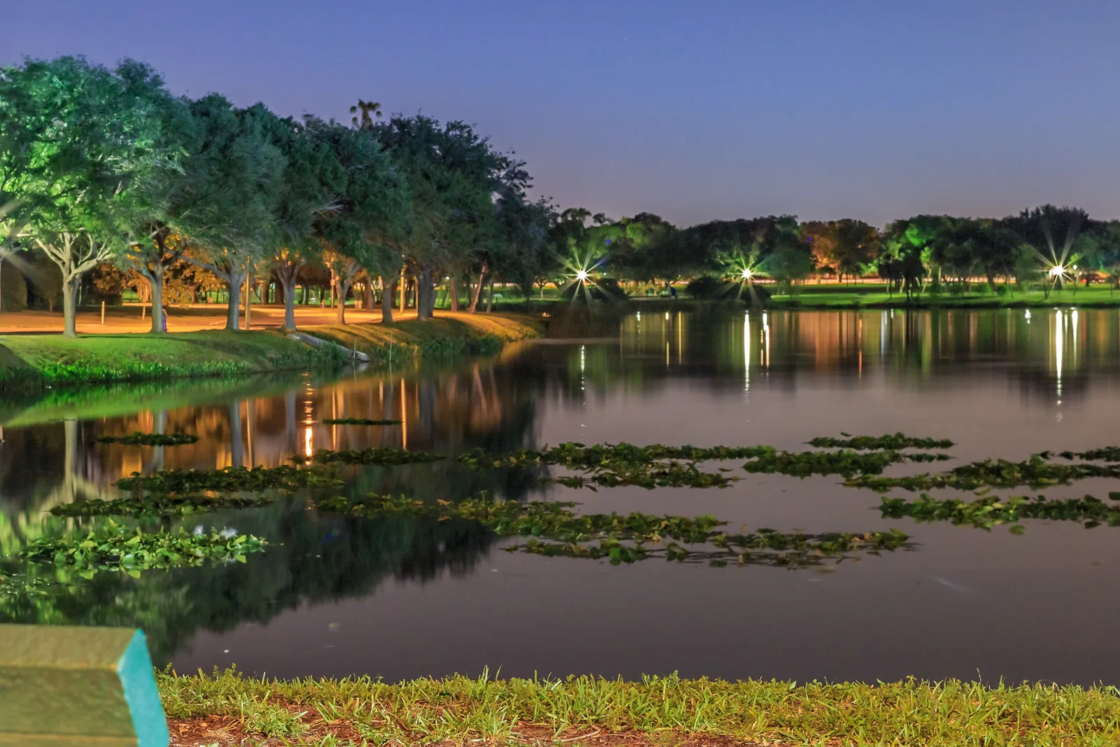 Crescent Lake at dusk, with lit paths under the oaks of Crescent Lake Park, home of one of St. Petersburg's six city dog parks.