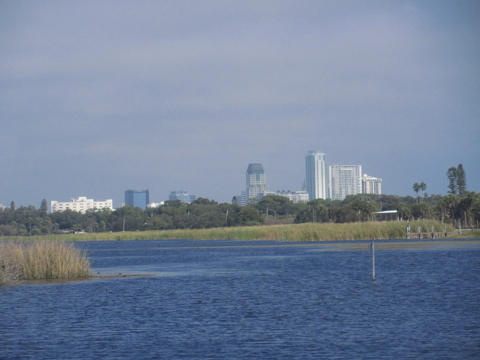 Marsh grass and the open water of Lake Maggiore at Boyd Hill Nature Preserve, with downtown St. Petersburg's towers in the distance.