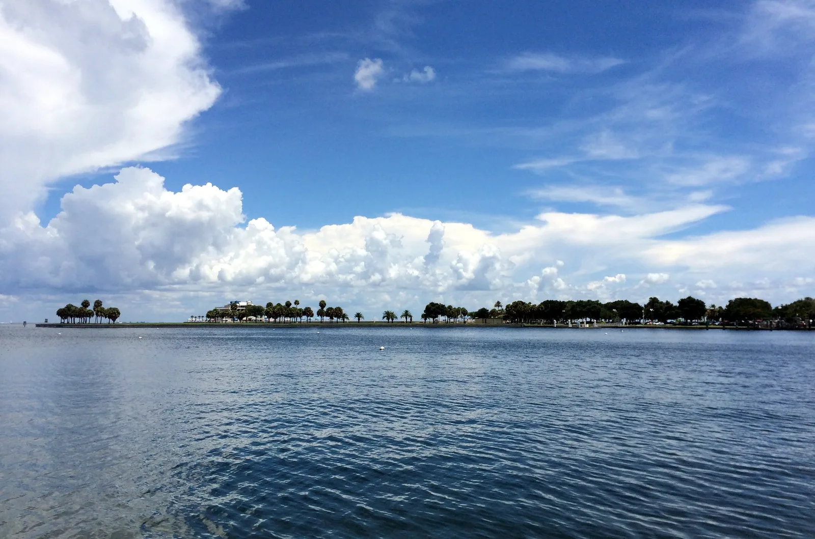 Tampa Bay and the palm-lined downtown waterfront seen from North Straub Park in St. Petersburg, where the city sets up its holiday lights and Santa visits.