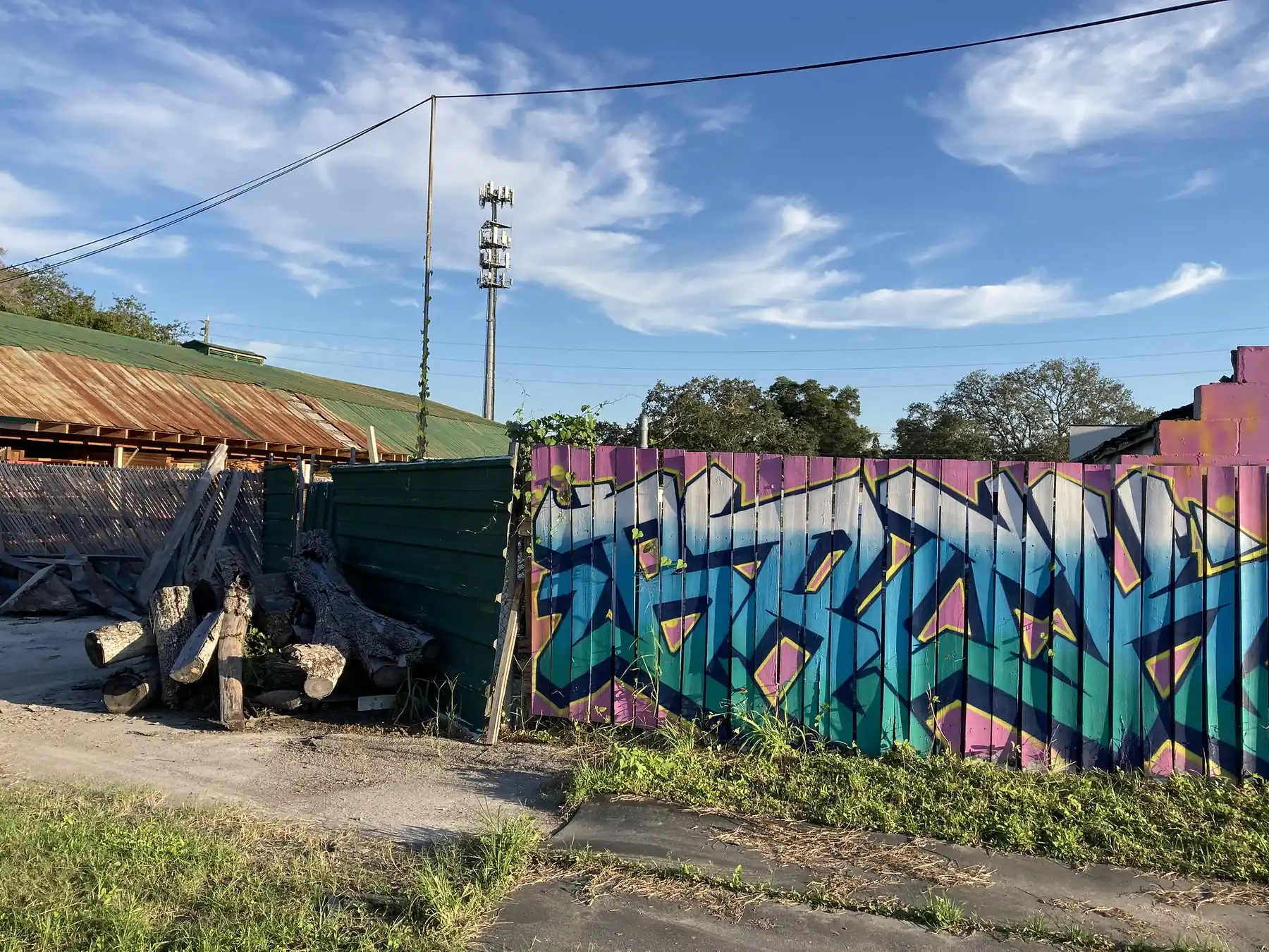 A graffiti-painted fence beside the Pinellas Trail at 49th Street South, on the west edge of Childs Park in St. Petersburg.
