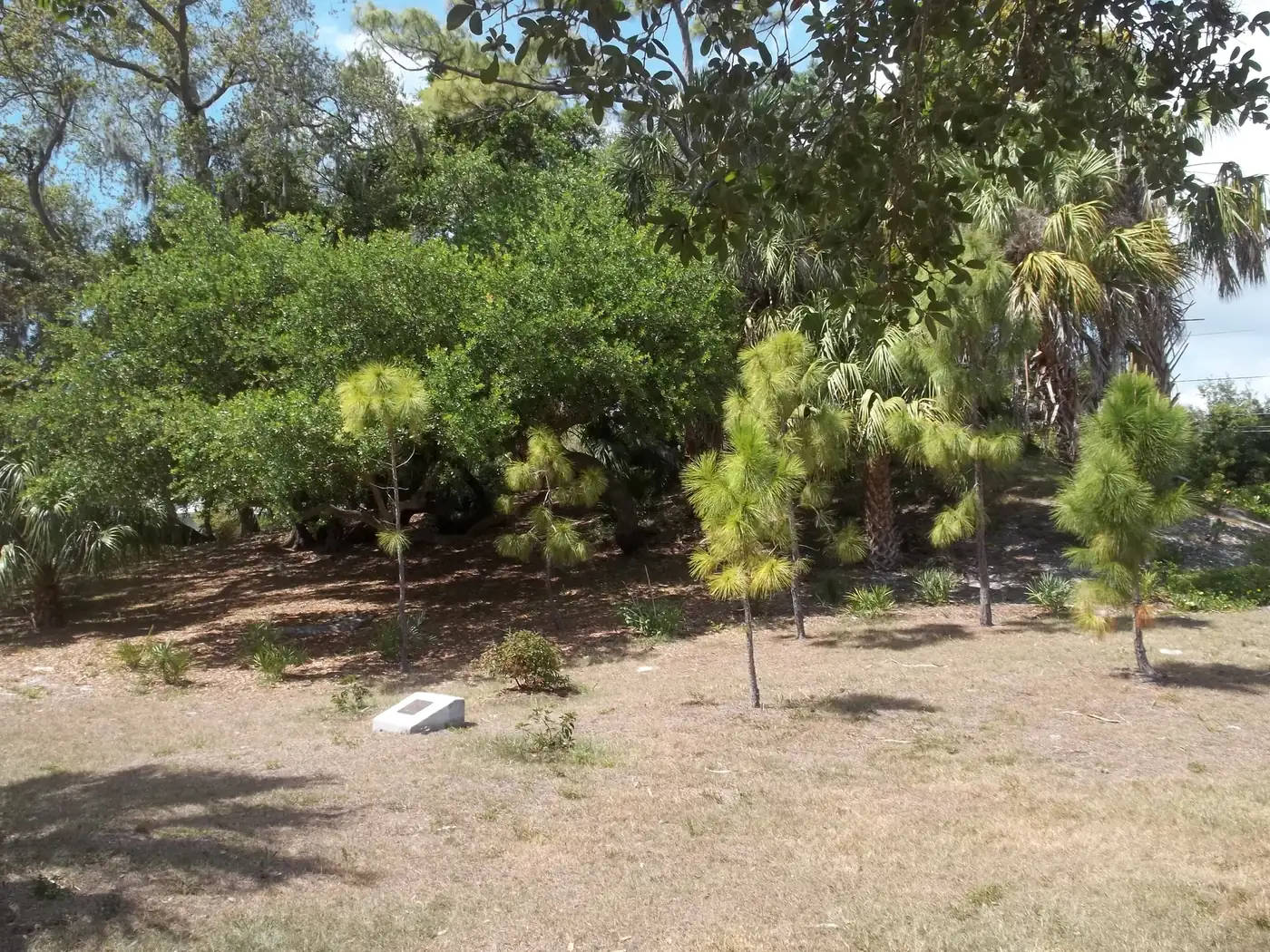 The Princess Mound site, now part of Indian Mound Park in Pinellas Point, St. Petersburg.