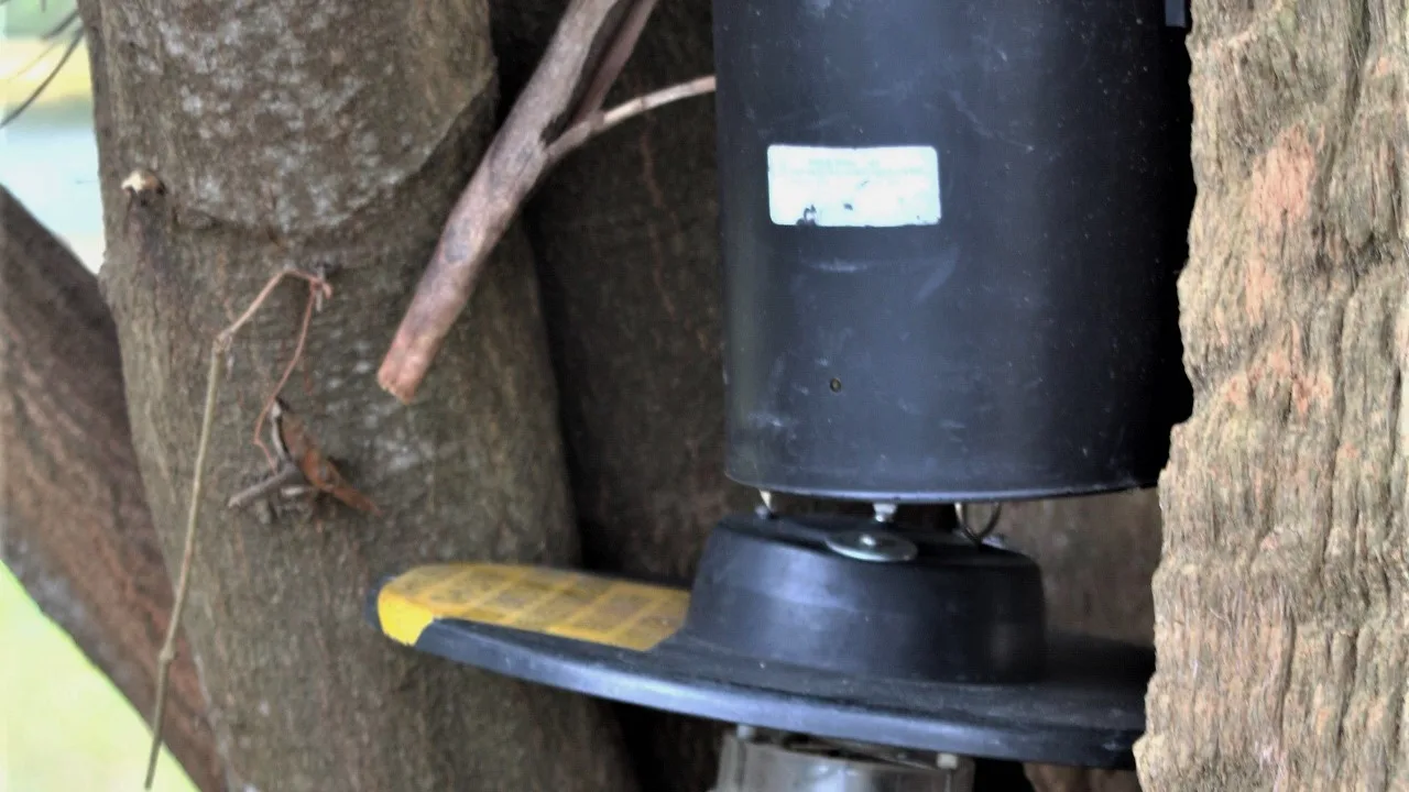 A Pinellas County Mosquito Control mosquito collector in John S. Taylor Park in Largo.
